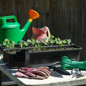 Gardening Equipment